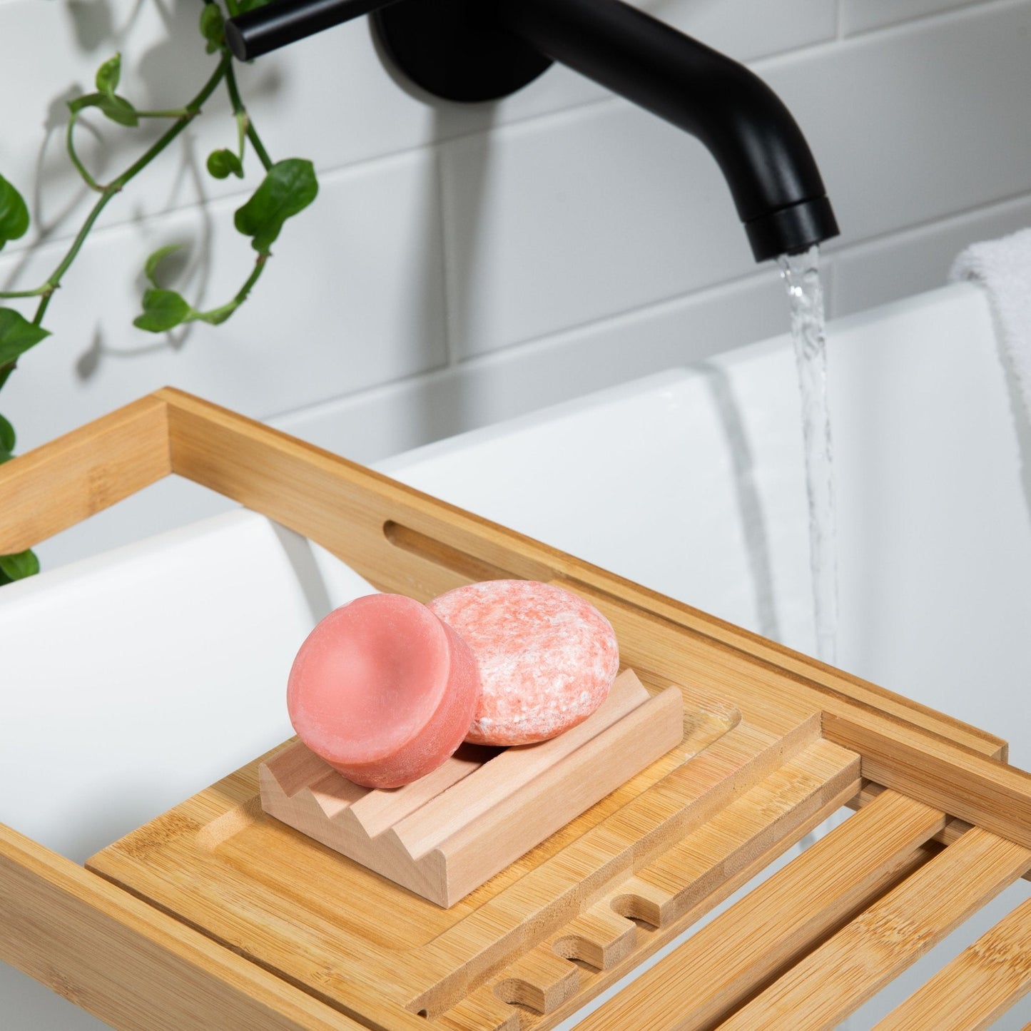 The best shampoo bar and best conditioner bar displayed in a modern bathroom with natural décor